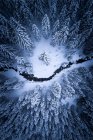 Vista aérea de um rio que atravessa uma floresta de inverno, Zauchensee, Salzburgo, Áustria — Fotografia de Stock
