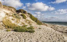 Vista panoramica sulla spiaggia di sabbia, Perth, Australia Occidentale, Australia — Foto stock