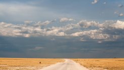 Estrada de cascalho através do Parque Nacional de Etosha, Namíbia — Fotografia de Stock