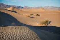As dunas ondulantes do deserto no Parque Nacional das Californias, Vale da Morte — Fotografia de Stock