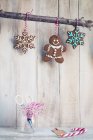 Gingerbread cookies hanging on a branch — Stock Photo