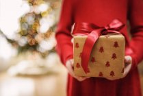 Обрізаний образ дівчини тримає загорнуті Різдвяний подарунок — стокове фото