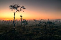 Vista panorámica del paisaje rural al amanecer, Lituania - foto de stock