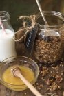 Granola with honey and milk, closeup view — Stock Photo