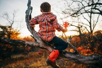 Niño sentado en un árbol sosteniendo una hoja de otoño - foto de stock