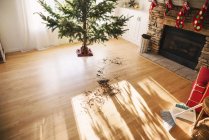 Agujas de pino en el suelo de la sala de estar después de establecer un árbol de Navidad - foto de stock