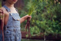 Garçon debout dans le jardin tenant des carottes fraîchement cueillies — Photo de stock