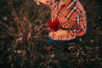 Проколотий постріл хлопчика, що збирає осіннє листя. — стокове фото