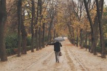 Человек, гуляющий по парку под дождем, Мадрид, Испания — стоковое фото