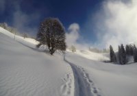 Camino por la nieve, Ibergeregg, Schwyz, Switzlerand - foto de stock