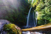 Мальовничим видом на Tiu водоспад кельеп, Сенару, Ломбок, Індонезія — стокове фото
