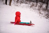 Chica trineo abajo de una colina en el bosque de invierno - foto de stock