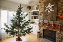 Arbre de Noël dans un salon prêt à être décoré — Photo de stock
