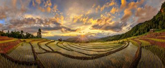 Vista panorámica de Terraced Rice Field, Chiang Mai, Tailandia - foto de stock