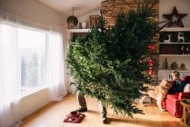 Mann stellt Weihnachtsbaum im Wohnzimmer auf, Sohn und Hund sitzen auf Sofa — Stockfoto