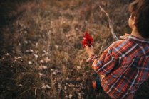 Ragazzo che raccoglie foglie di autunno a campo — Foto stock