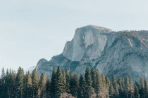 Vue panoramique d'El Capitan, parc national de Yosemite, Californie, Amérique, États-Unis — Photo de stock