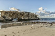 Malerischer Blick auf Vögel auf zwei Felsen Strand, Perth, Westaustralien, Australien — Stockfoto