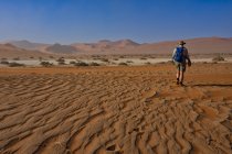 Hombre Senderismo, Sossusvlei, Desierto de Namib, Namibia - foto de stock