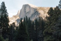 Scenic view of El Capitan, Yosemite National Park, California, America, USA — Stock Photo