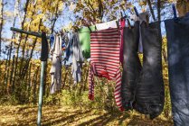 Vista cênica de Roupas que secam em uma linha de lavagem — Fotografia de Stock