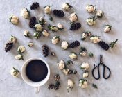 Cup of coffee surrounded by pine cones and rosebuds — Stock Photo