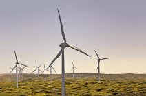 Wind turbines on a wind farm, Albany, Western Australia, Australia — Stock Photo