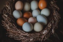 Vista close-up de ovos frescos em um ninho — Fotografia de Stock