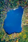 Tiro aéreo de belo lago na floresta de pinheiros — Fotografia de Stock