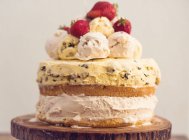 Layered ice-cream cake cookie dough, vanilla cake and strawberries — Stock Photo