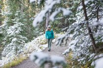 Mulher caminhando através de uma floresta nevada, Dakota do Sul, América, EUA — Fotografia de Stock