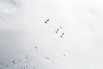 Tiro aéreo de esquiadores em montanha nevada — Fotografia de Stock