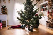 Boy helping his father set up a Christmas tree — Stock Photo