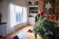 Homem montando uma árvore de Natal na sala de estar — Fotografia de Stock