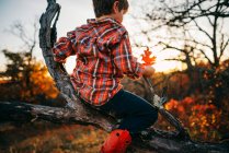 Niño sentado en un árbol sosteniendo una hoja de otoño - foto de stock