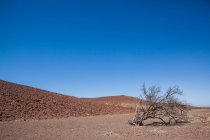 Vista panorámica del paisaje del desierto, Damaraland, Namibia - foto de stock