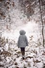 Вид сзади девушки, идущей по снежному ландшафту — стоковое фото