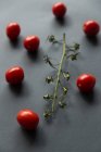 Close-up of cherry tomatoes and a vine, closeup view — Stock Photo