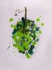 Nahaufnahme einer konzeptionellen Traube grüner Trauben — Stockfoto