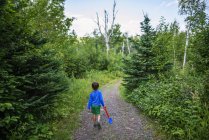 Niño caminando a lo largo de un sendero forestal - foto de stock