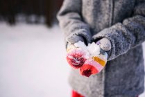 Primer plano de las manos de una chica sosteniendo la nieve - foto de stock