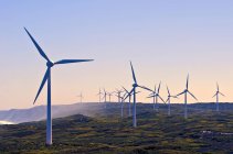 Wind turbines on a wind farm, Albany, Western Australia, Australia — Stock Photo
