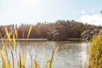 Vue panoramique sur le lac boisé en automne, Dakota du Sud, Amérique, USA — Photo de stock