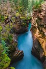 Живописный вид на водопады Атабаска, Национальный парк Джаспер, Джаспер, Альберта, Канада — стоковое фото