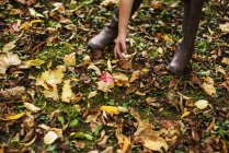 Девушка наклоняется вниз, собирая осенние листья — стоковое фото