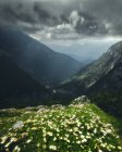 Vista panorámica del paisaje de montaña, Austria - foto de stock