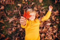 Sobrecarga de menino brincando em folhas de outono — Fotografia de Stock