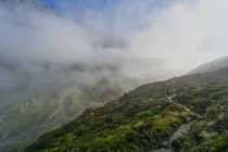 Человеческий поход в национальном парке Аспиринг, Южный остров, Новая Зеландия — стоковое фото