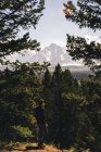 Vue arrière de Man regardant la vue, chaîne de montagnes Grand Teton, Wyoming, Amérique, États-Unis — Photo de stock