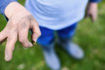 Close-up view of a boy holding a bug, cropped — Stock Photo